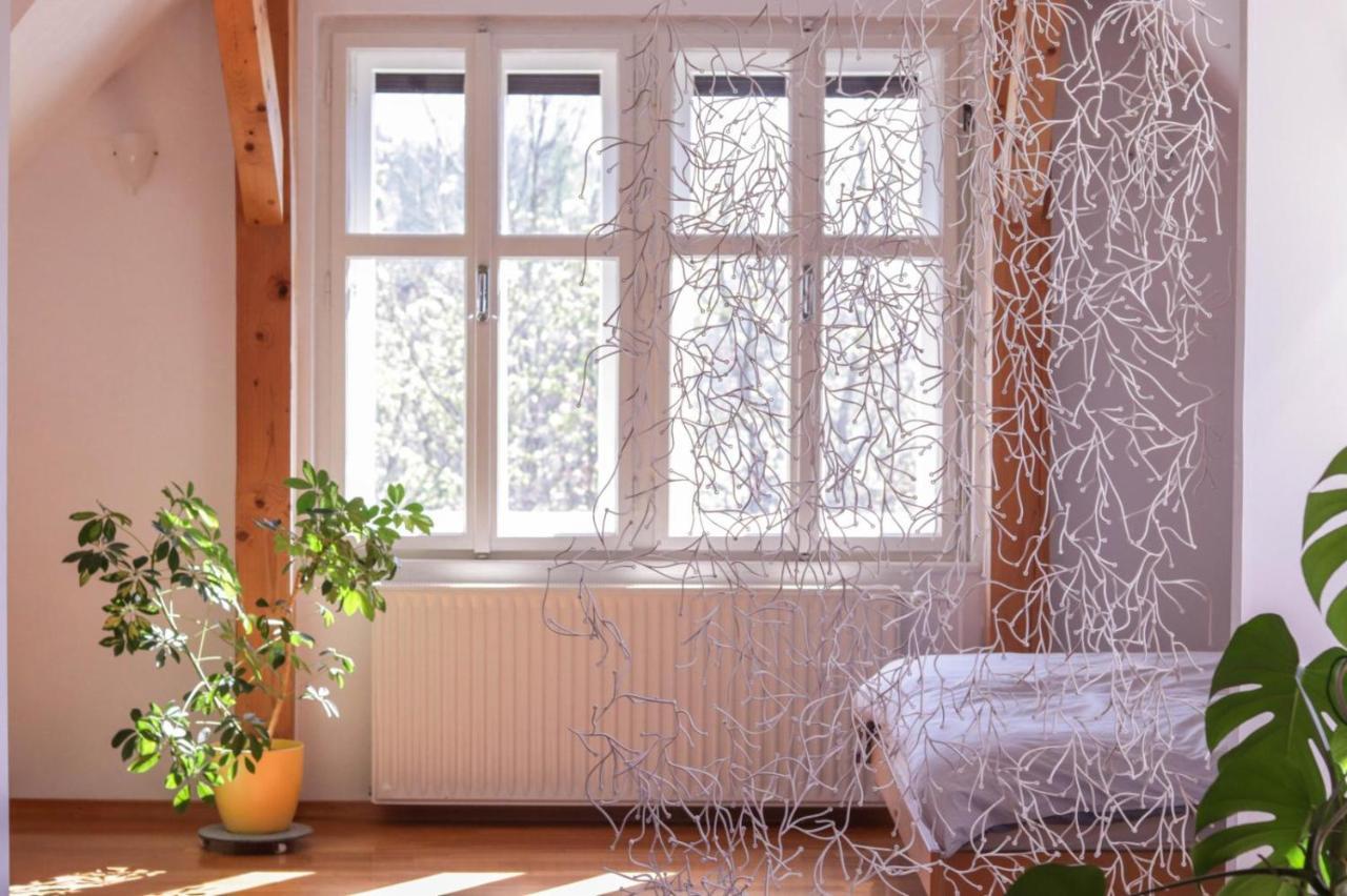 Apartment In The Heart Of Bled With Views 外观 照片